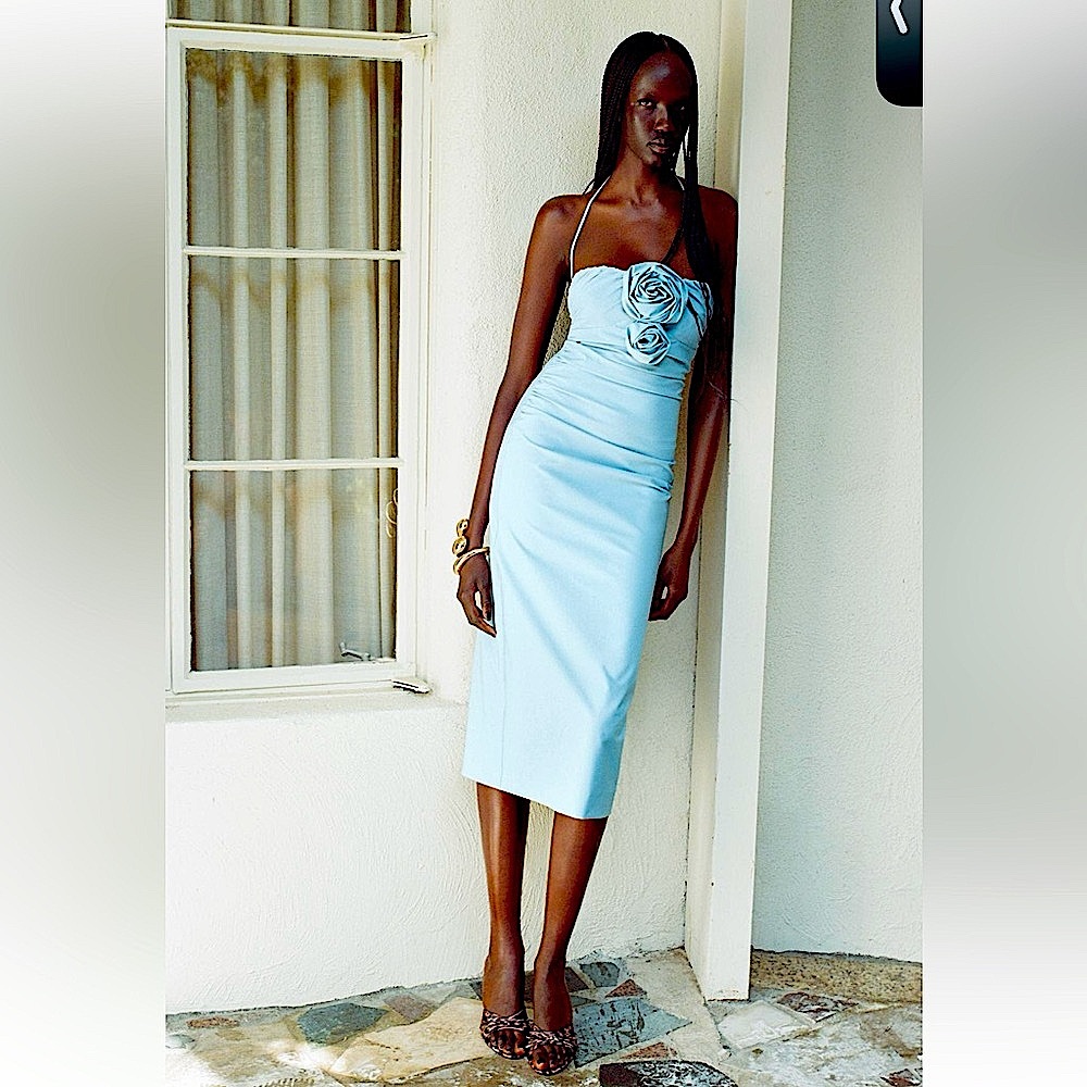 Zara raised flowers strapless dress